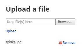 CustomerFileUploadControl upload form
