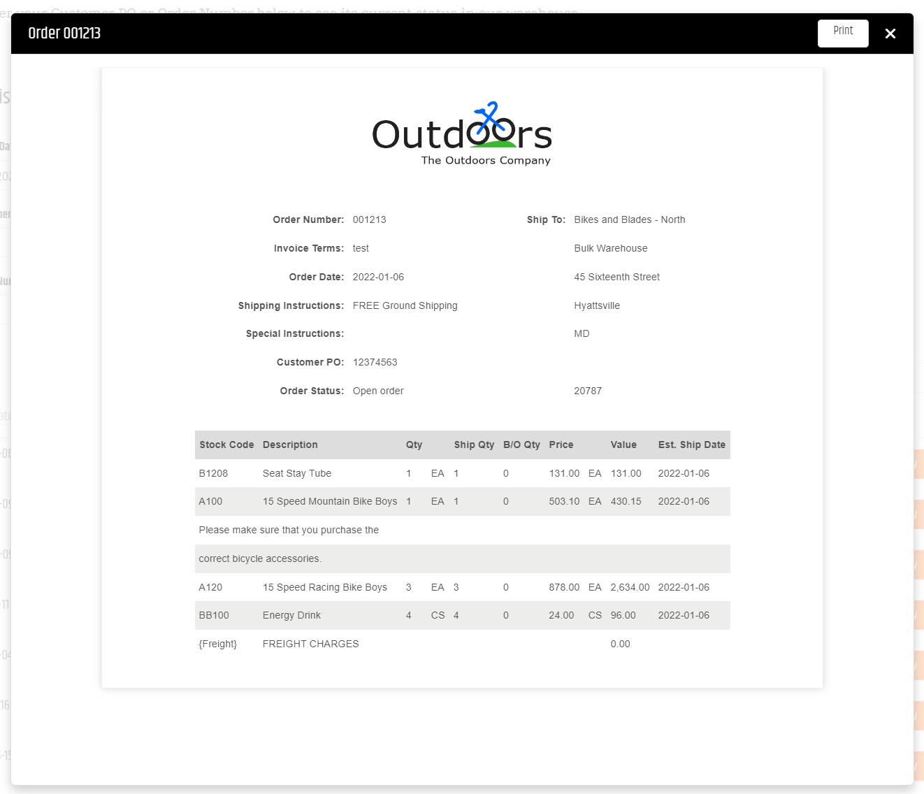 Sales order displayed in the Document Viewer popup.