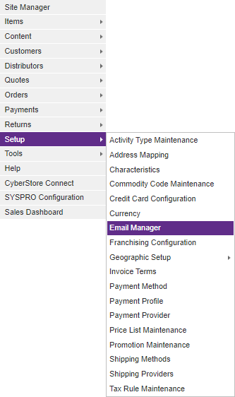 Management Console Setup menu with Email Manager selected.