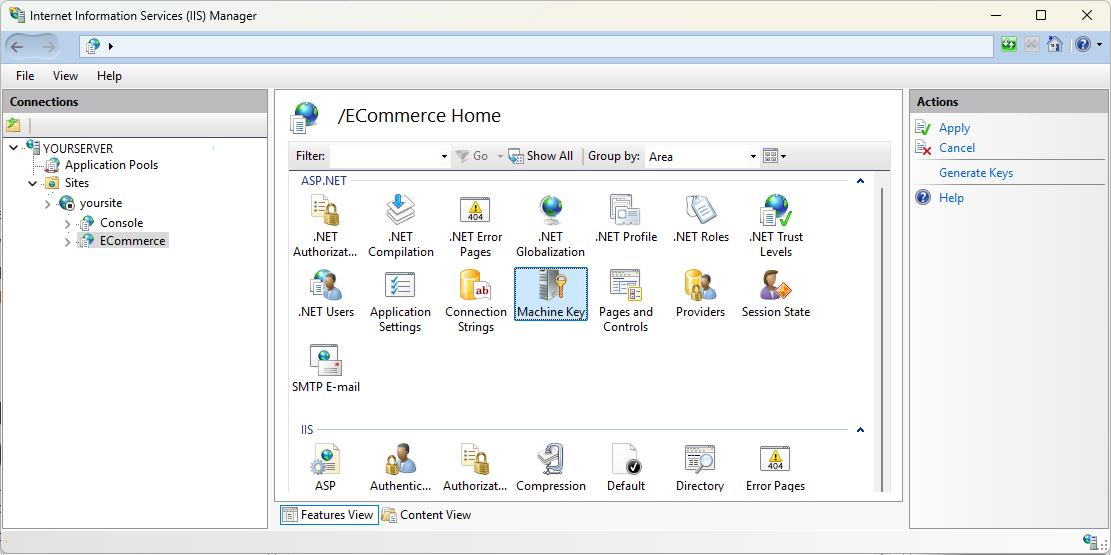 IIS Machine Key Option