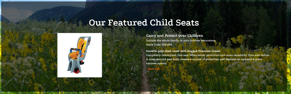 CatalogFeaturedItemControl featured item
